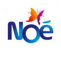 Noé
