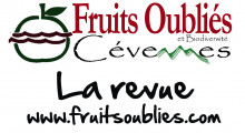 Fruits oubliés