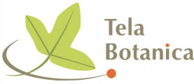Tela Botanica