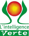 Intelligence Verte