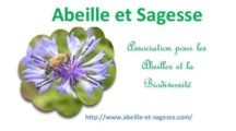 Abeille et sagesse